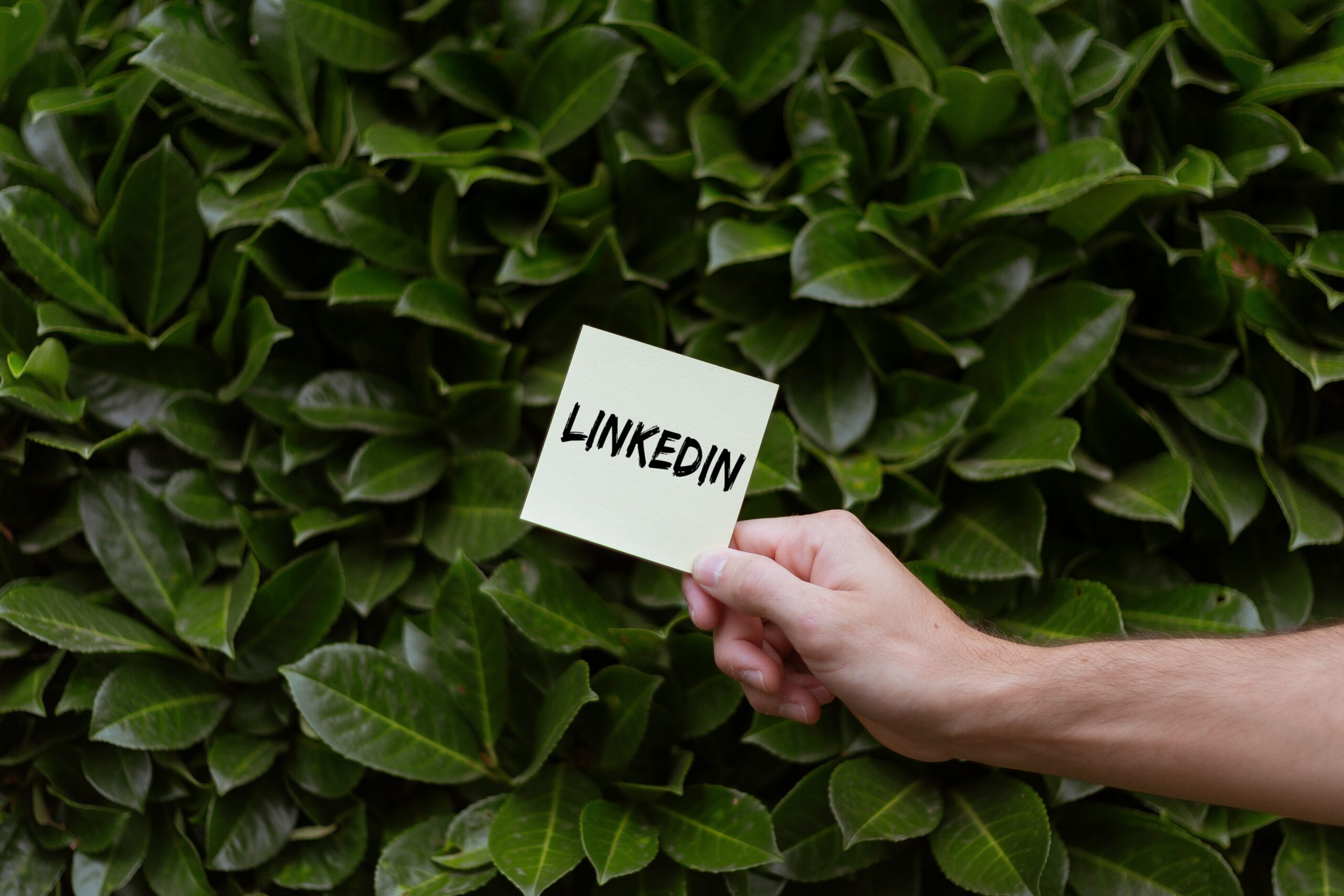 Create a LinkedIn Business Page (A Step By Step Guide)